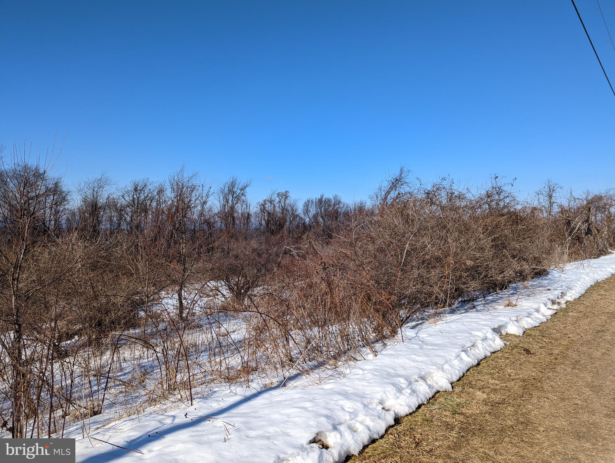 HIGH MOUNTAIN ORCHARD - Land