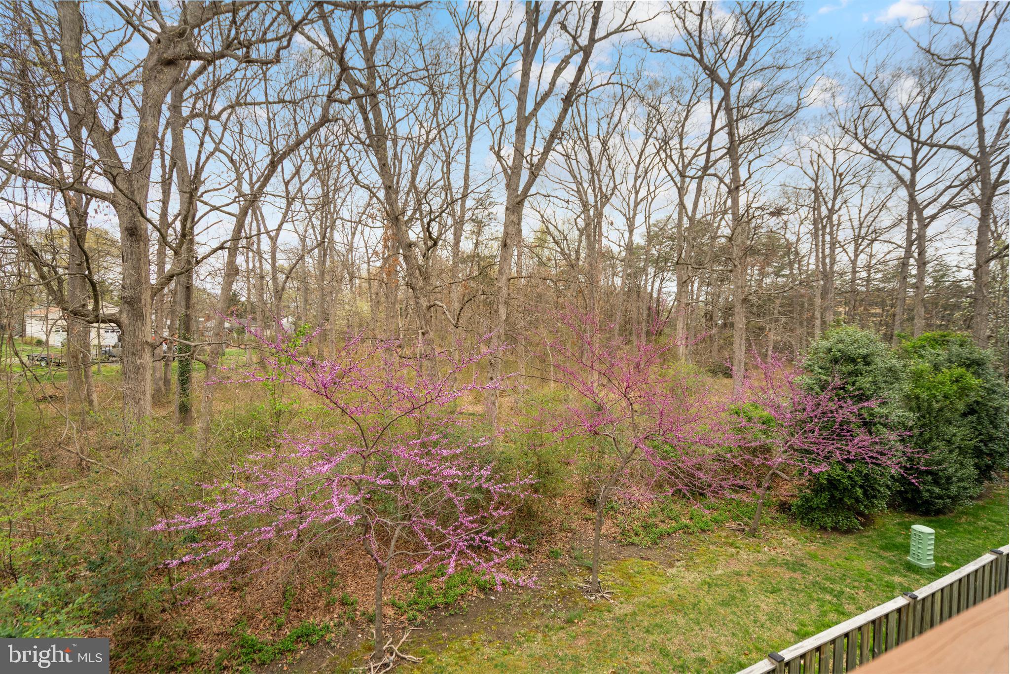 DEVONSHIRE - Residential Lease