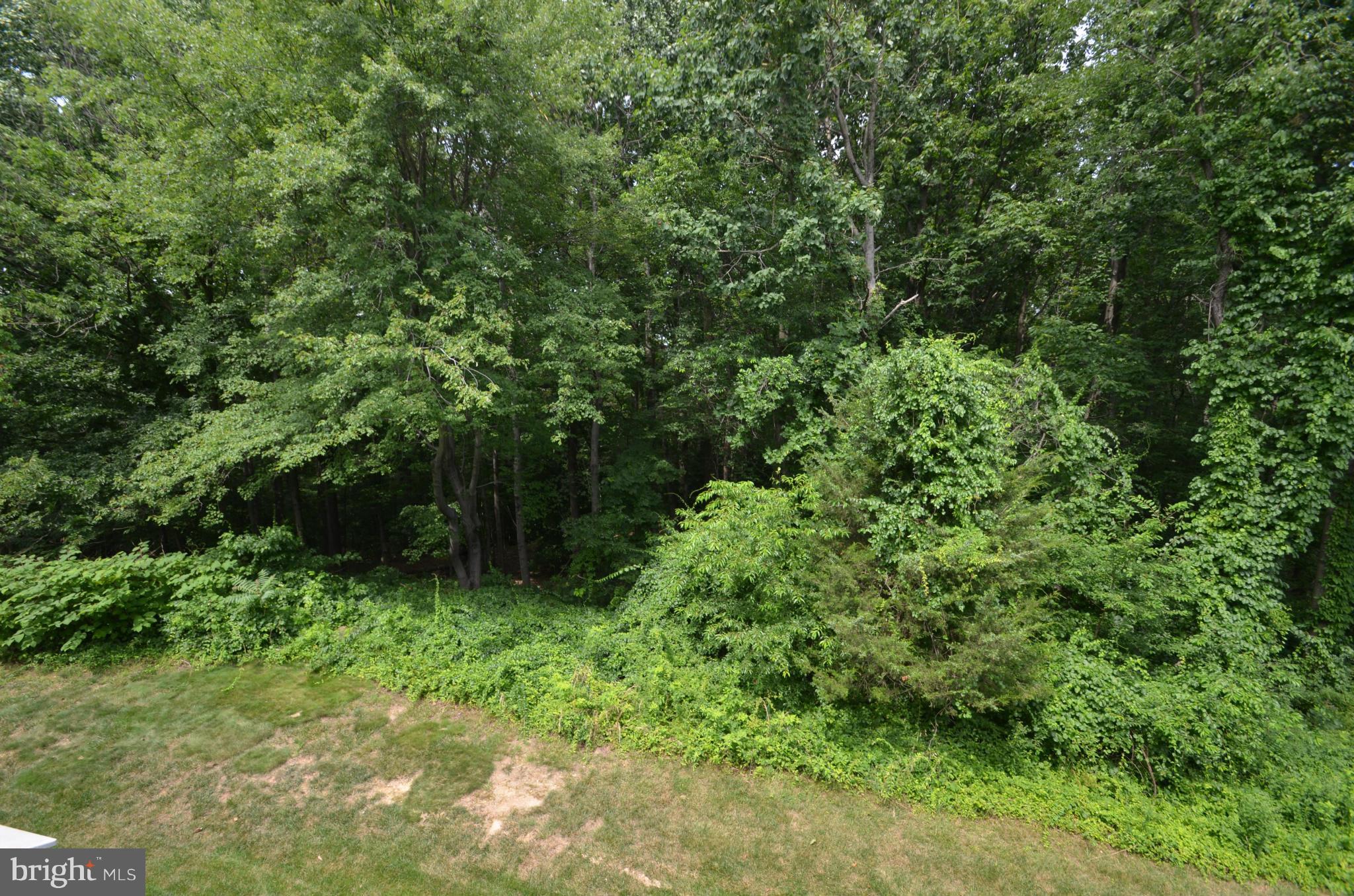 ISLAND CREEK - Residential Lease