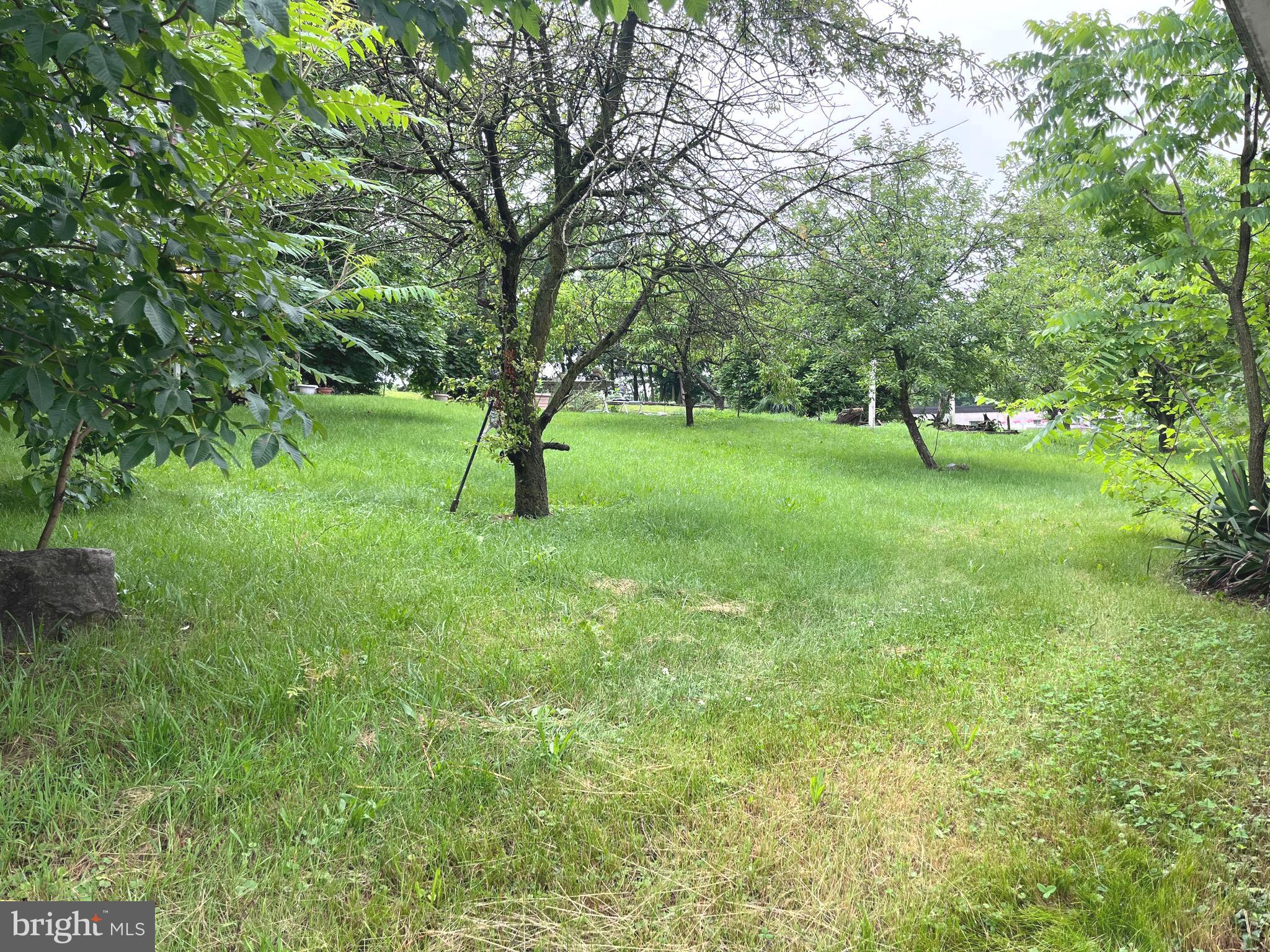 NEWVILLE BOROUGH - Residential