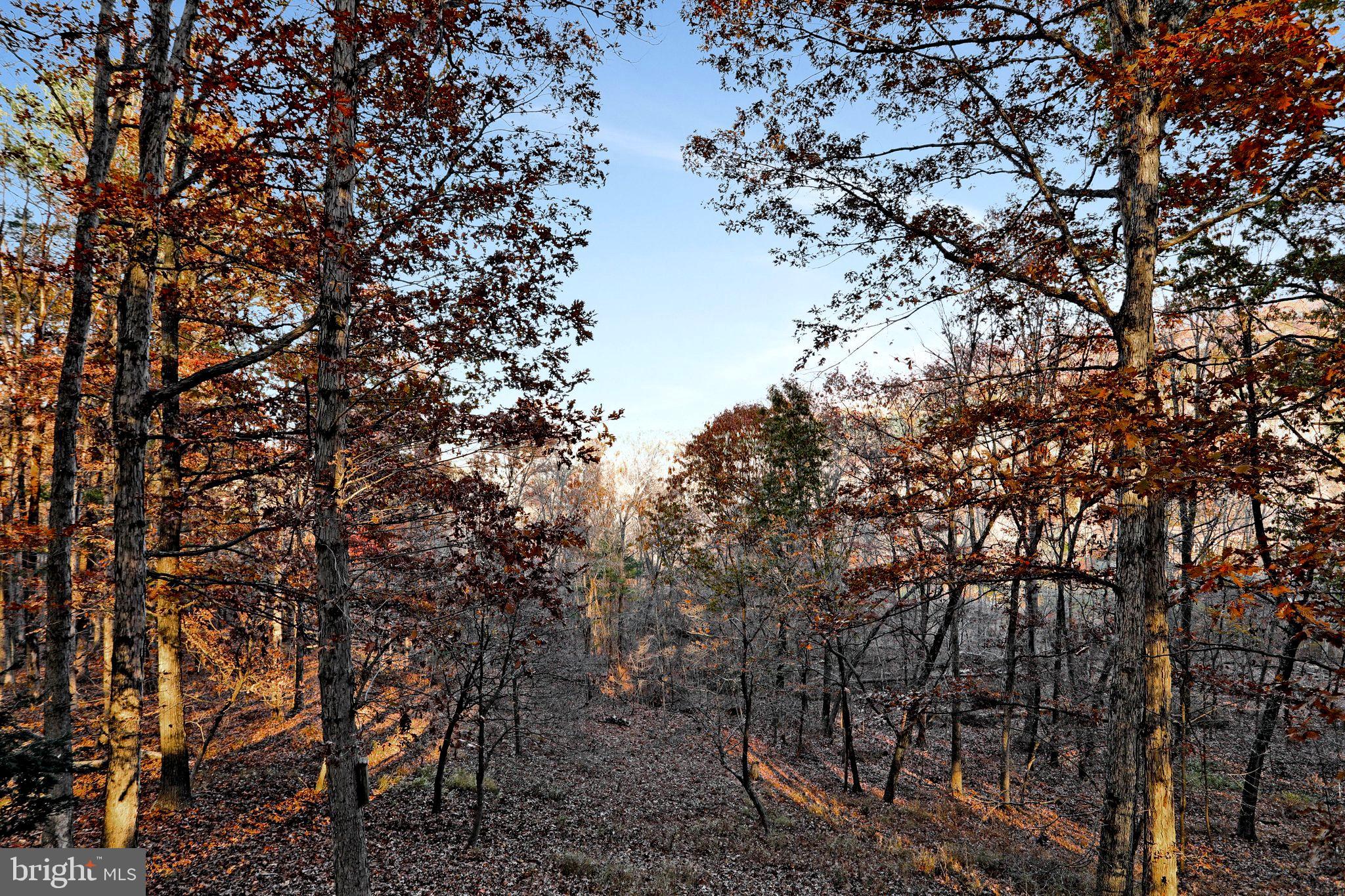 RIVER RIDGE - Residential