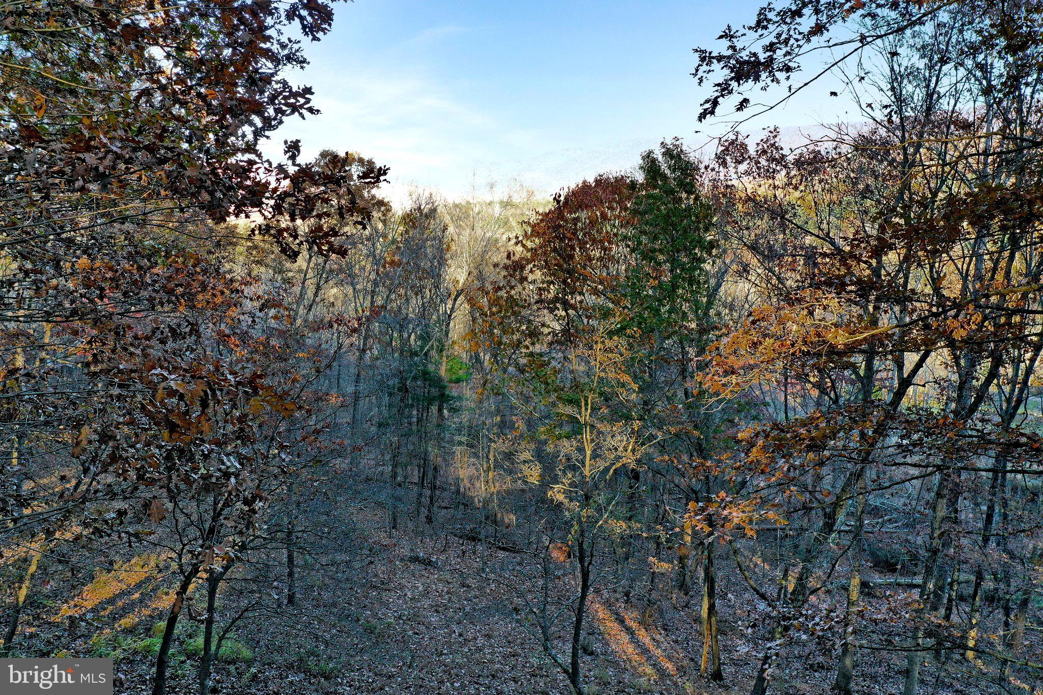 RIVER RIDGE - Residential