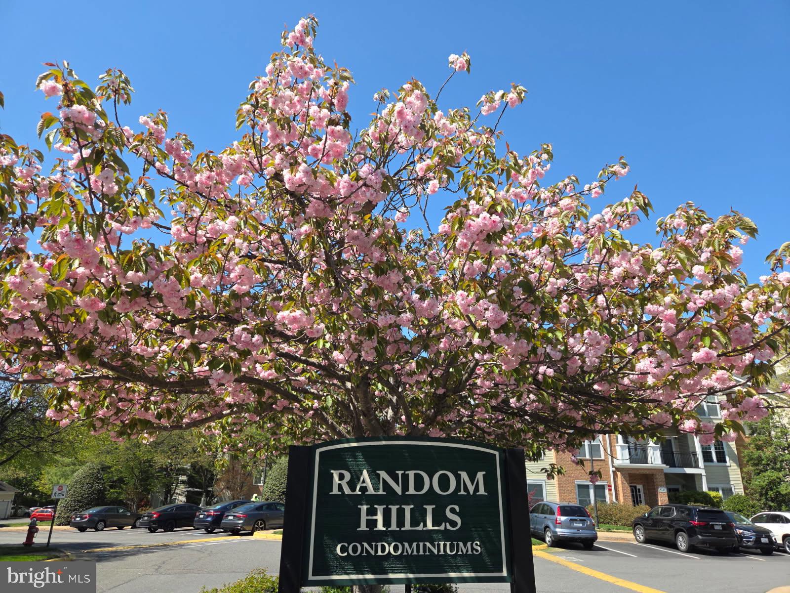 RANDOM HILLS - Residential