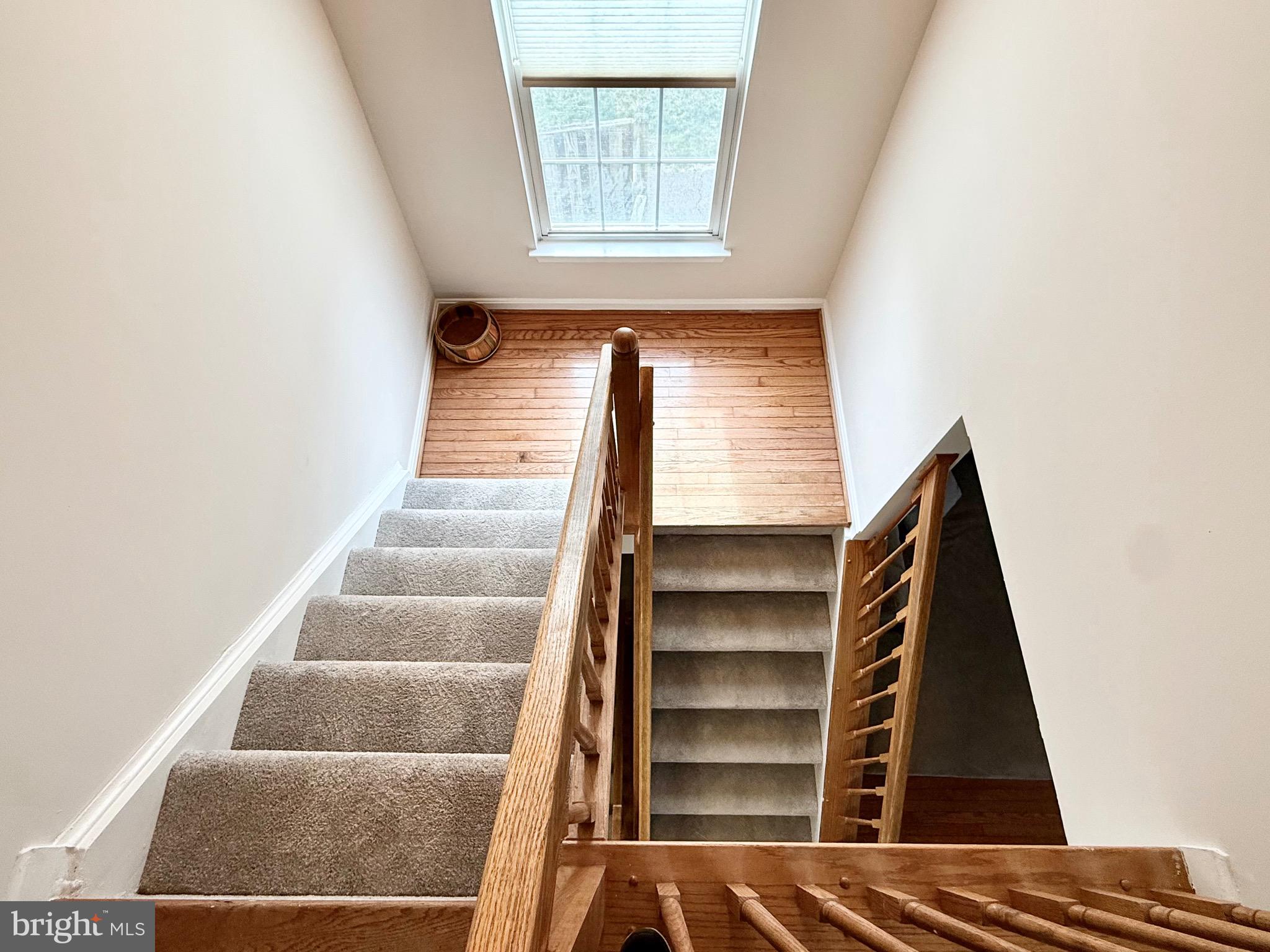 PRINCETON WOODS - Residential