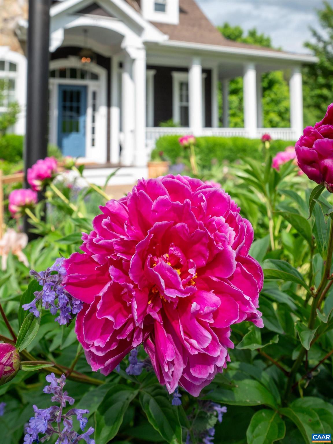 FOXCHASE - Residential