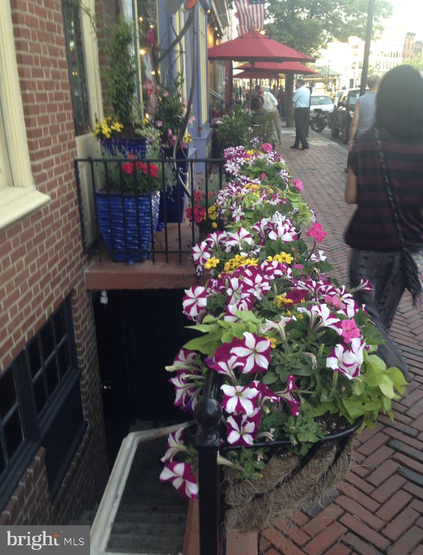 UPPER FELLS POINT - Residential