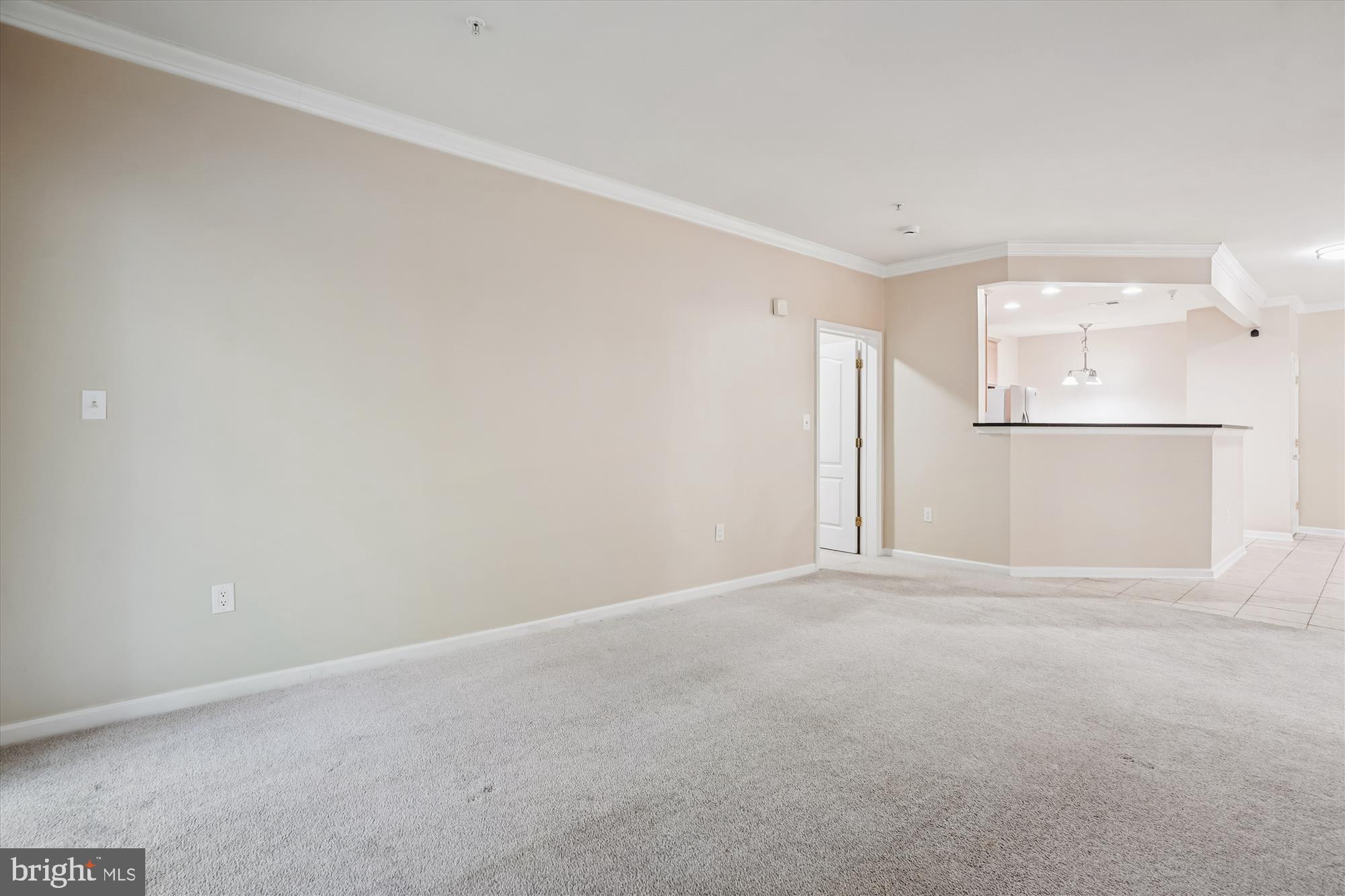 THE RESERVE CONDOMINIUMS - Residential