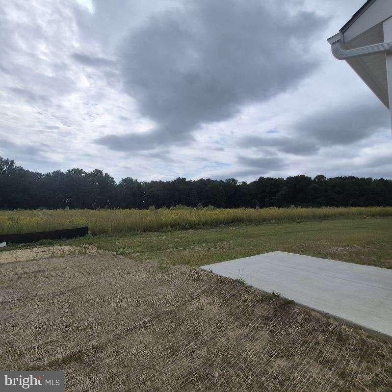 877 VIRDIN DRIVE