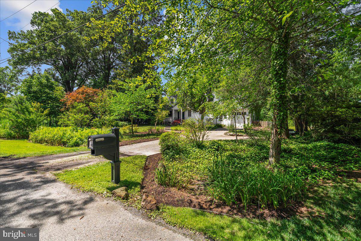 215 WARDOUR DRIVE