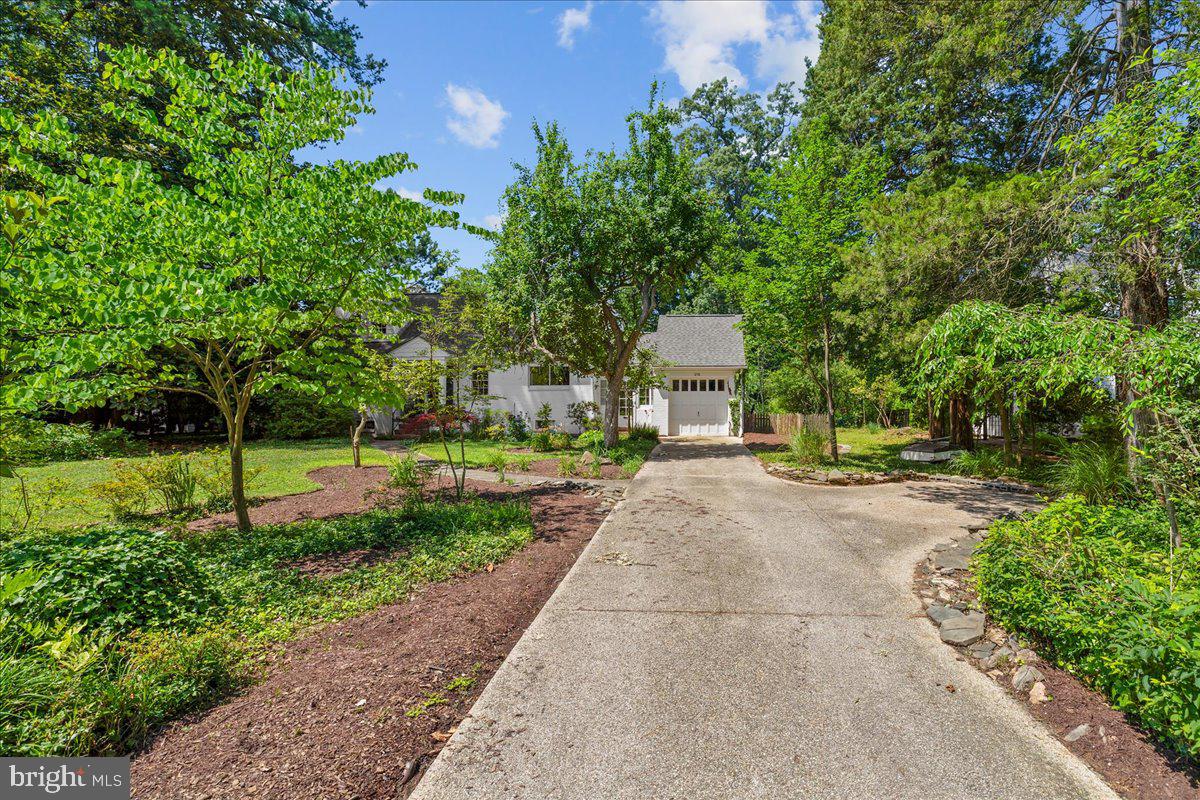 215 WARDOUR DRIVE