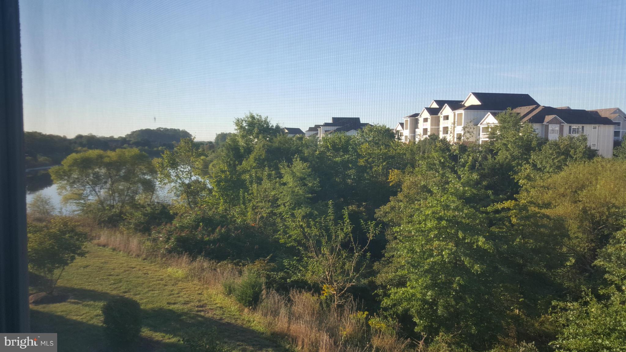 44335 PREMIER PLAZA 230