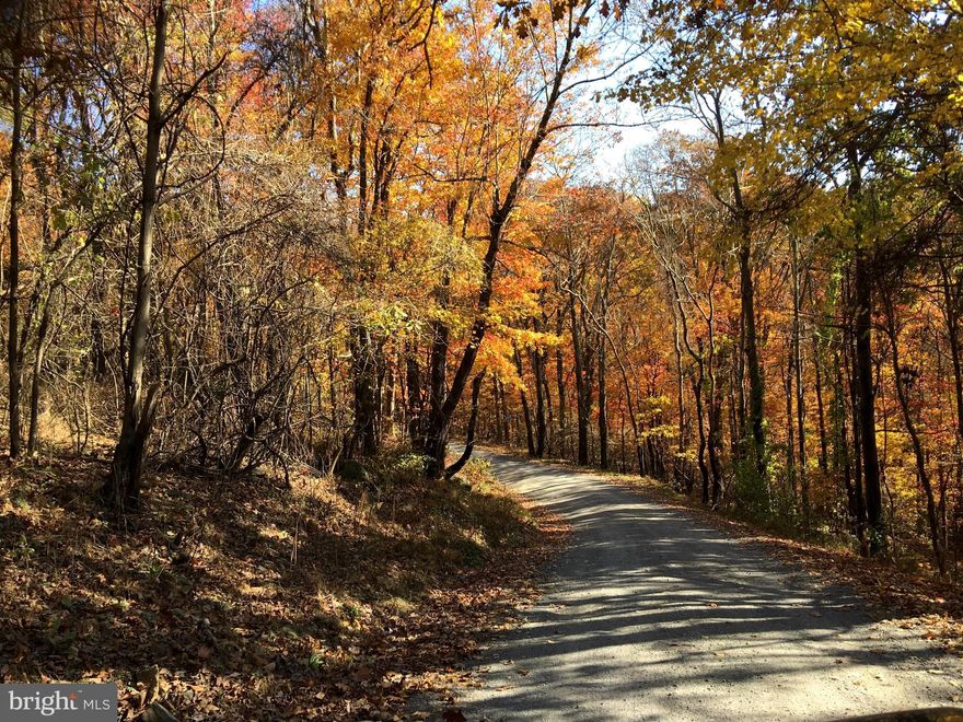 This is an incredible opportunity to own five adjoining lots being sold together as one expansive property totaling 3.99 acres in Stanley, Virginia. Located in the scenic Shenandoah Valley, this combined offering provides ample space, privacy, and flexibility for a custom home, family compound, or long-term investment. The land features wooded terrain, mountain views, and a peaceful rural setting, perfect for those seeking both tranquility and convenience. Access is available via U.S. Route 340 Business, with connections to U.S. Route 340 and nearby towns such as Luray, Shenandoah, and Front Royal. Interstate 81 is within a short drive, allowing easy travel throughout the region. The Skyline Lakes community offers Little Meadows Lake, approximately 1.5 acres, perfect for fishing and relaxing by the water. The bathhouse is available exclusively for Skyline Lakes residents and their guests, adding to the community's appeal. Close to the South Fork of the Shenandoah River, Skyline Drive, and Shenandoah National Park, this property is ideal for outdoor enthusiasts and anyone looking to enjoy the natural beauty of the area.