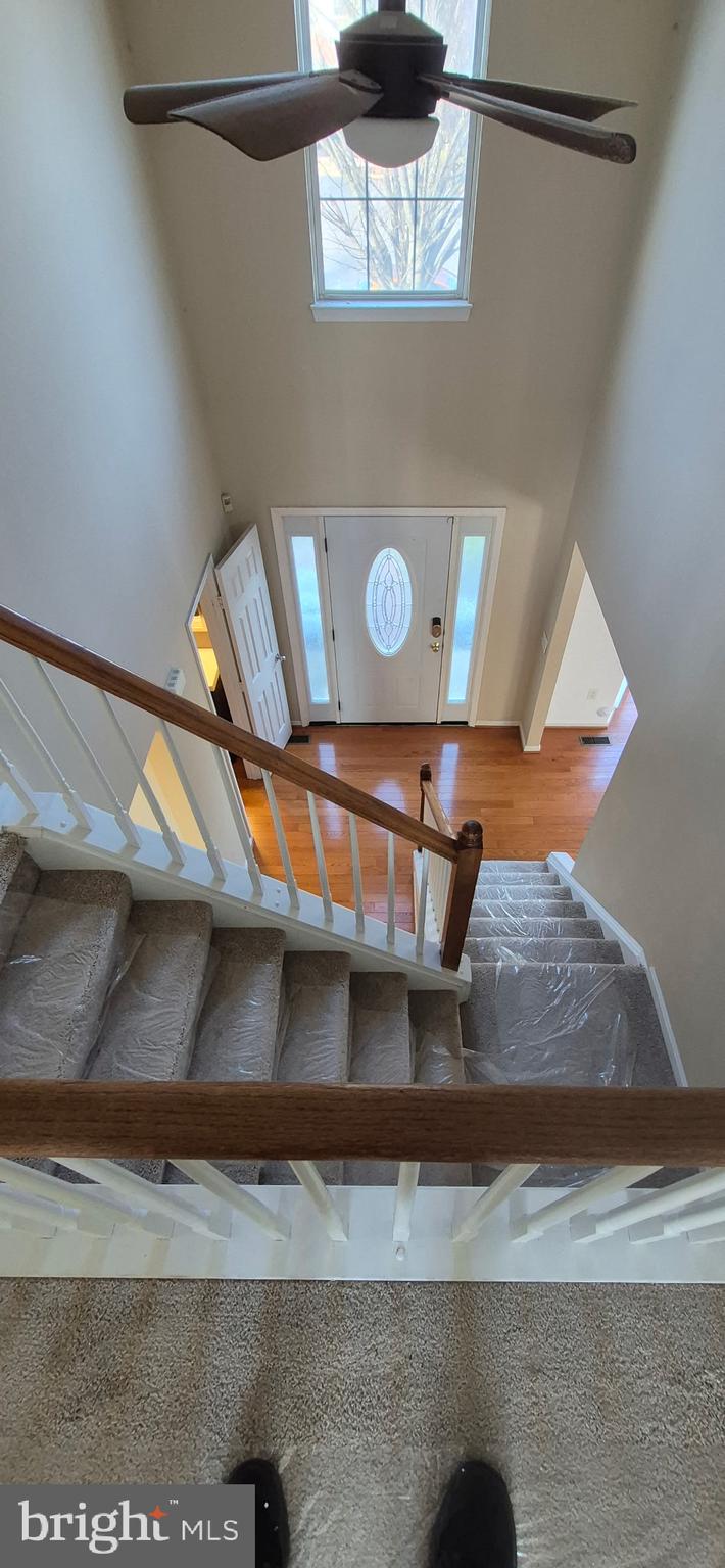 OWINGS MILLS NEWTOWN - Residential