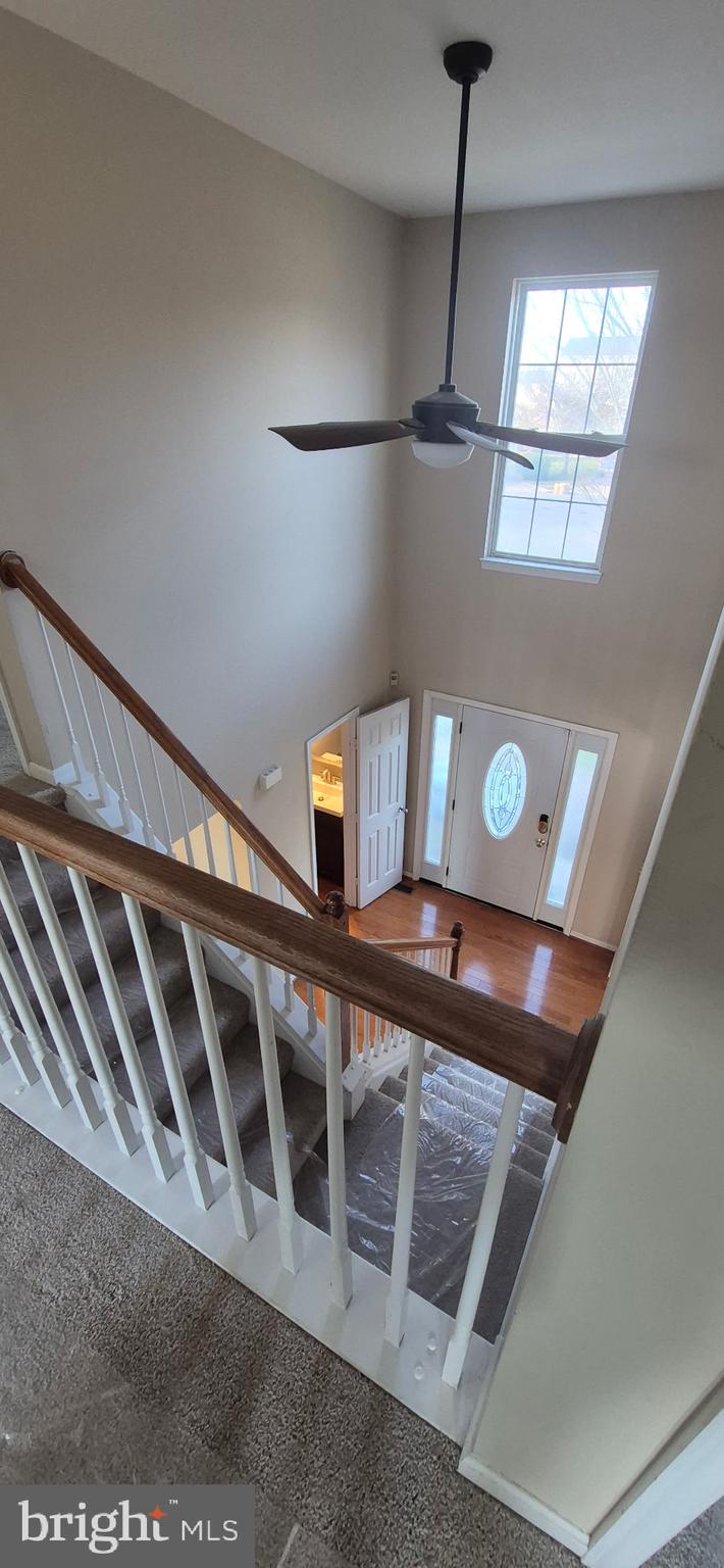 OWINGS MILLS NEWTOWN - Residential