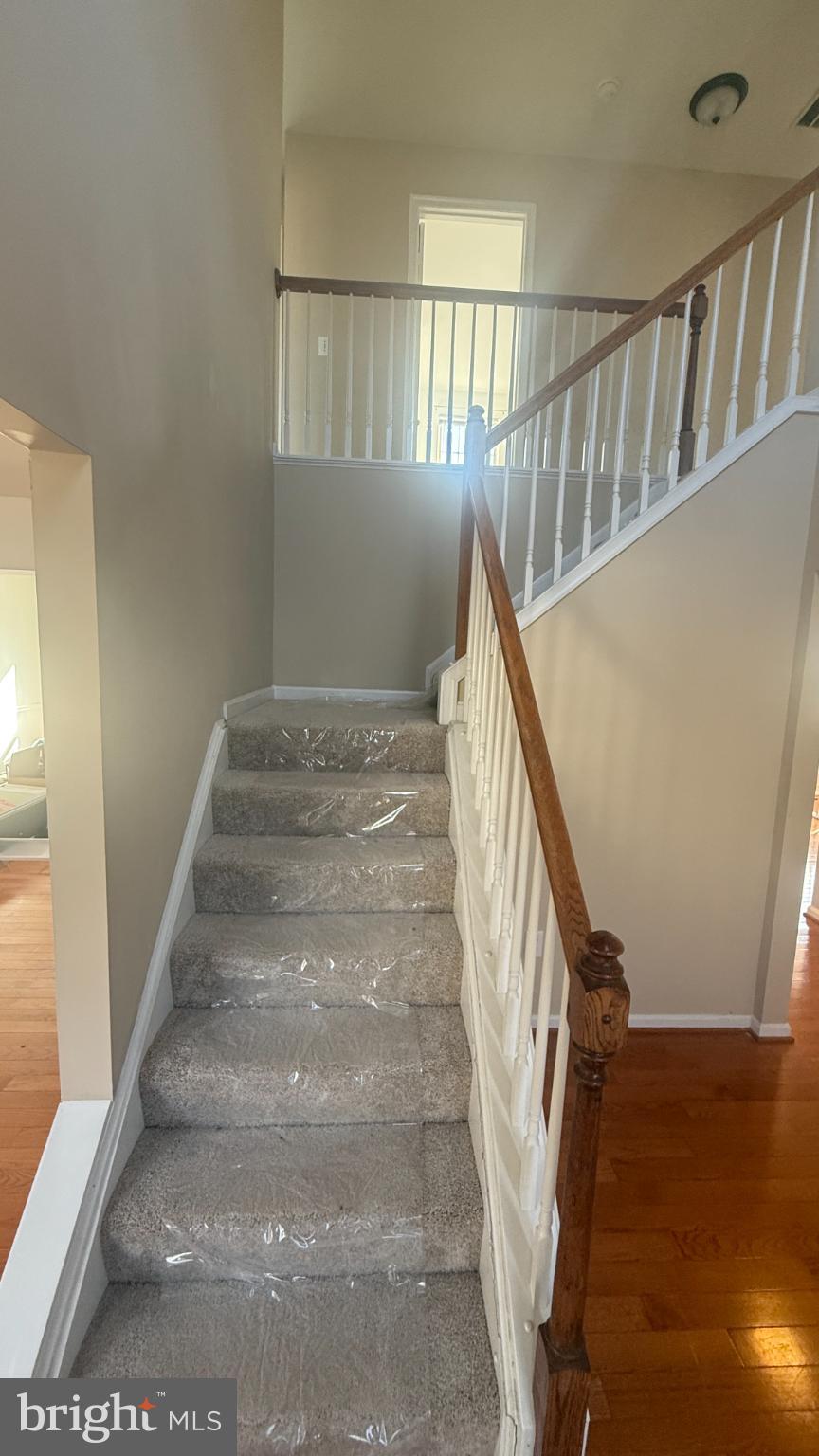 OWINGS MILLS NEWTOWN - Residential