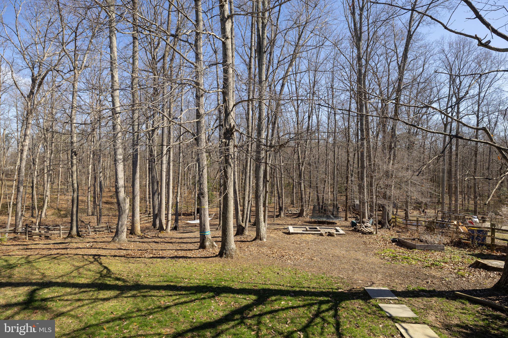 CARDINAL FOREST - Residential