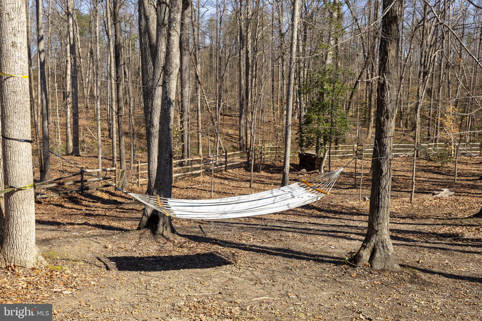 CARDINAL FOREST - Residential