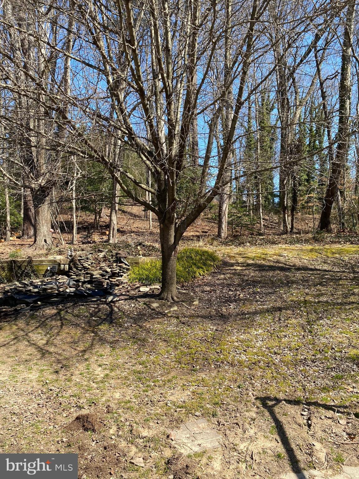 MAPLE RIDGE - Residential