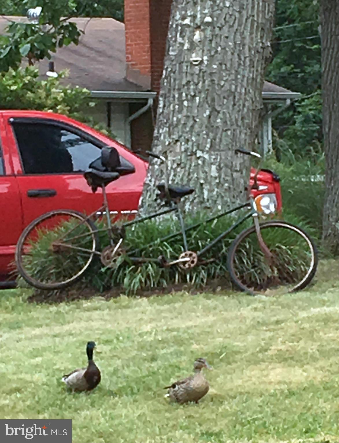 SILLERY BAY - Residential