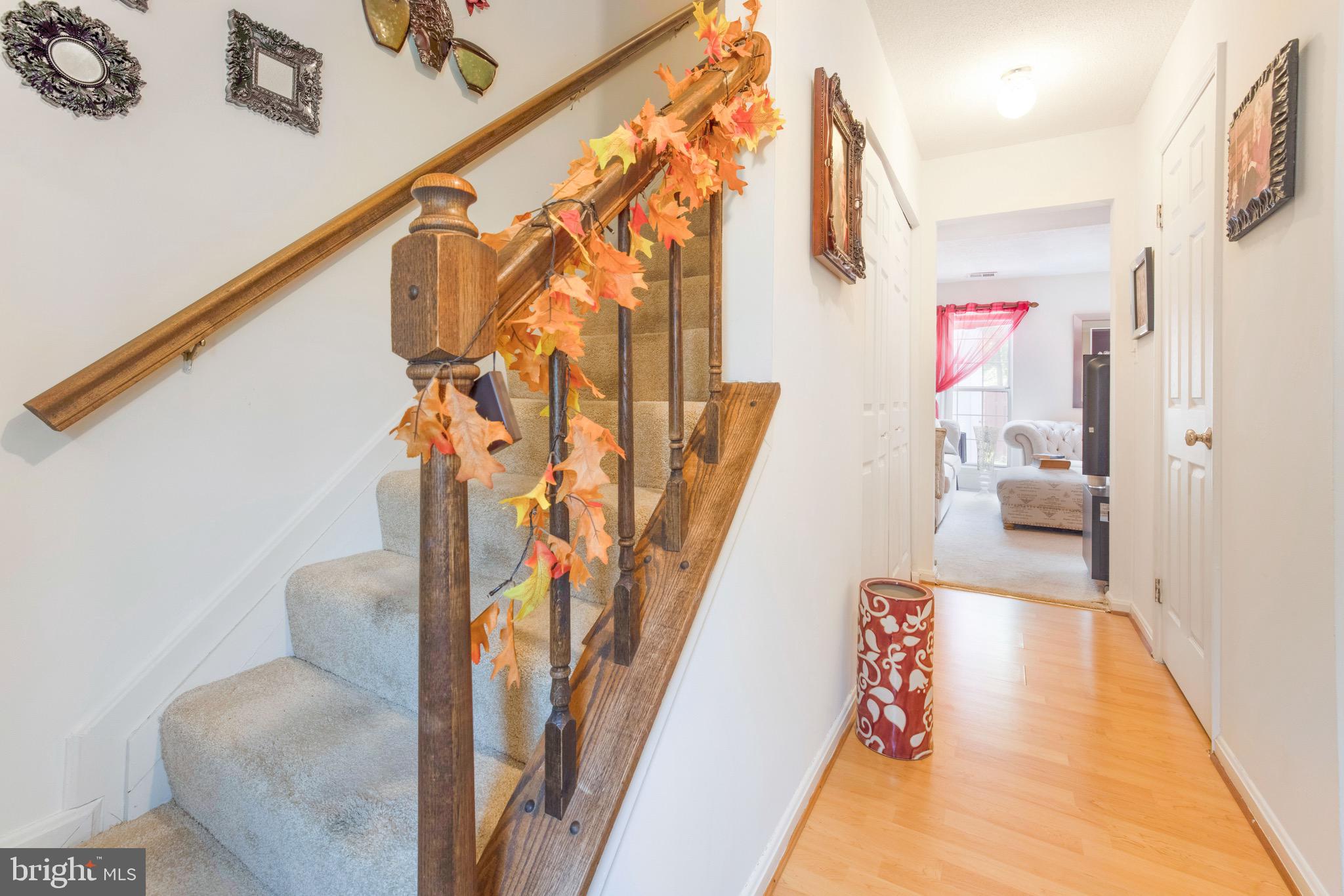 CLOVERLEAF - Residential