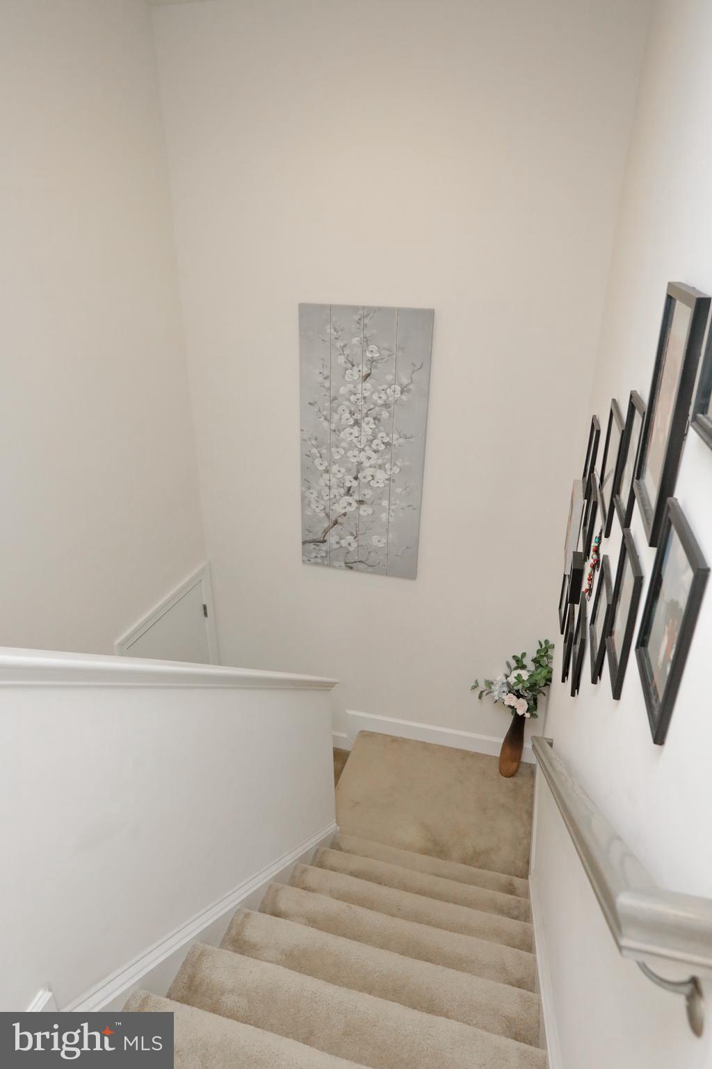 HAMILTON PARK - Residential