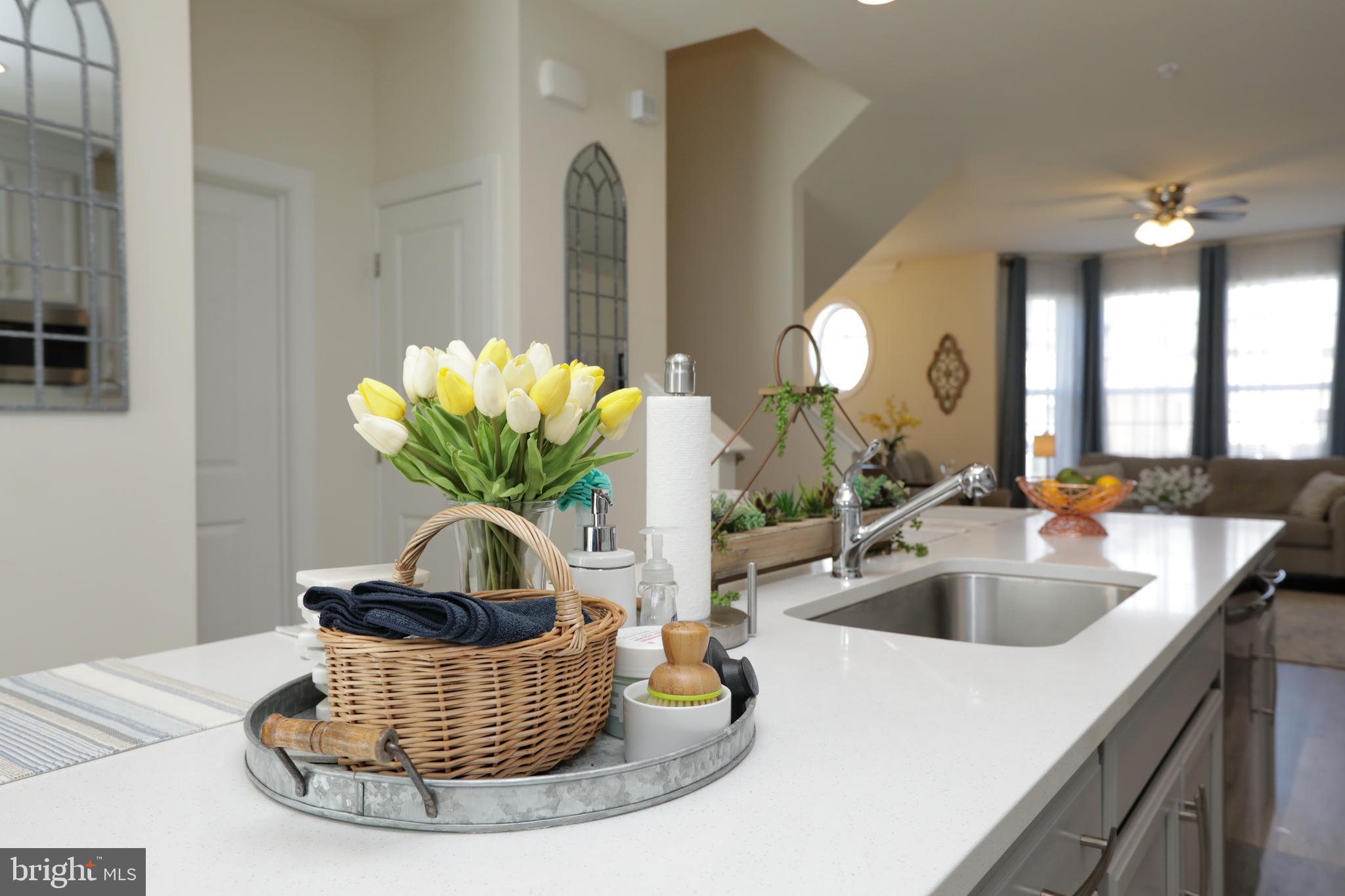 HAMILTON PARK - Residential