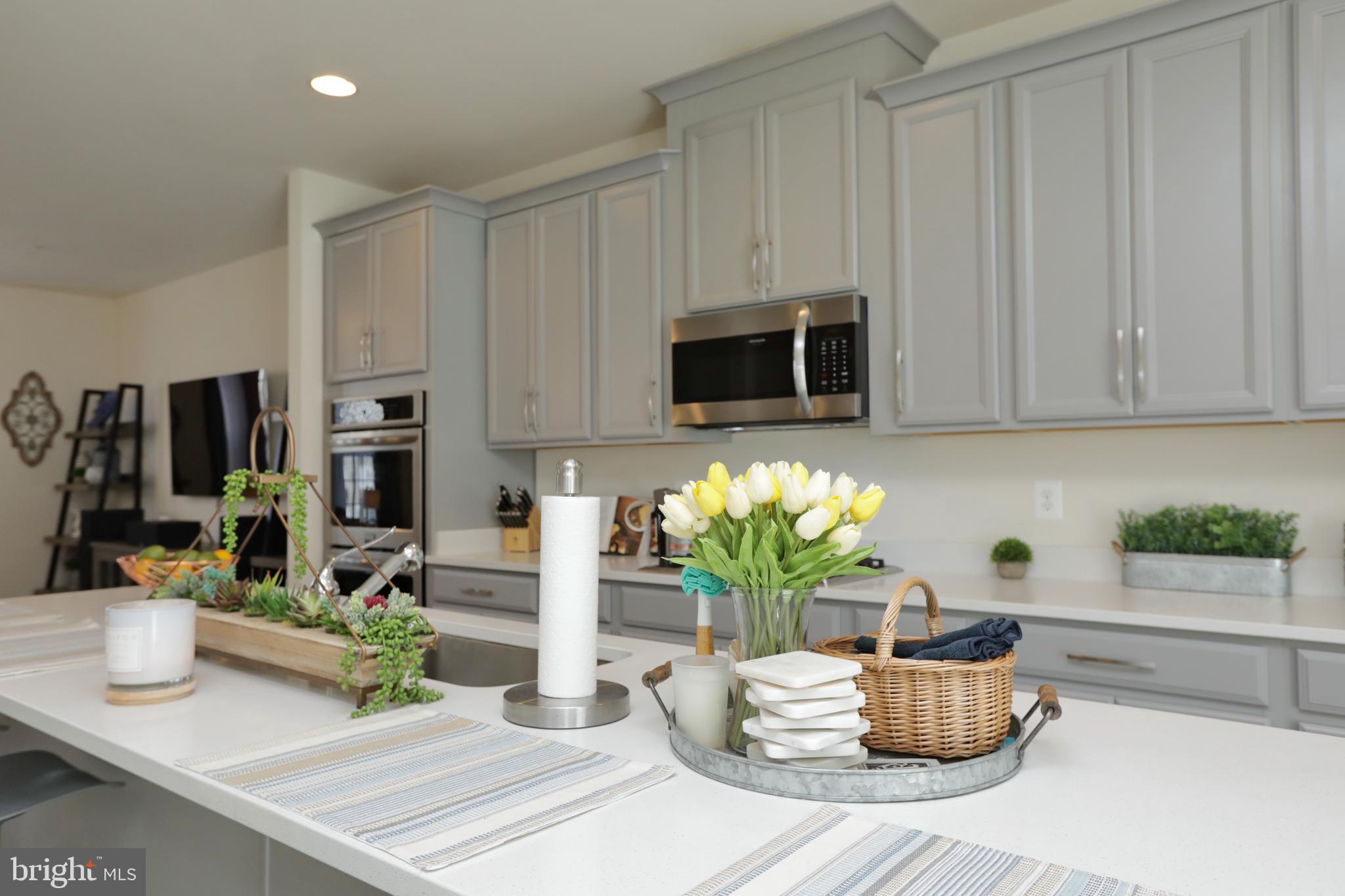 HAMILTON PARK - Residential