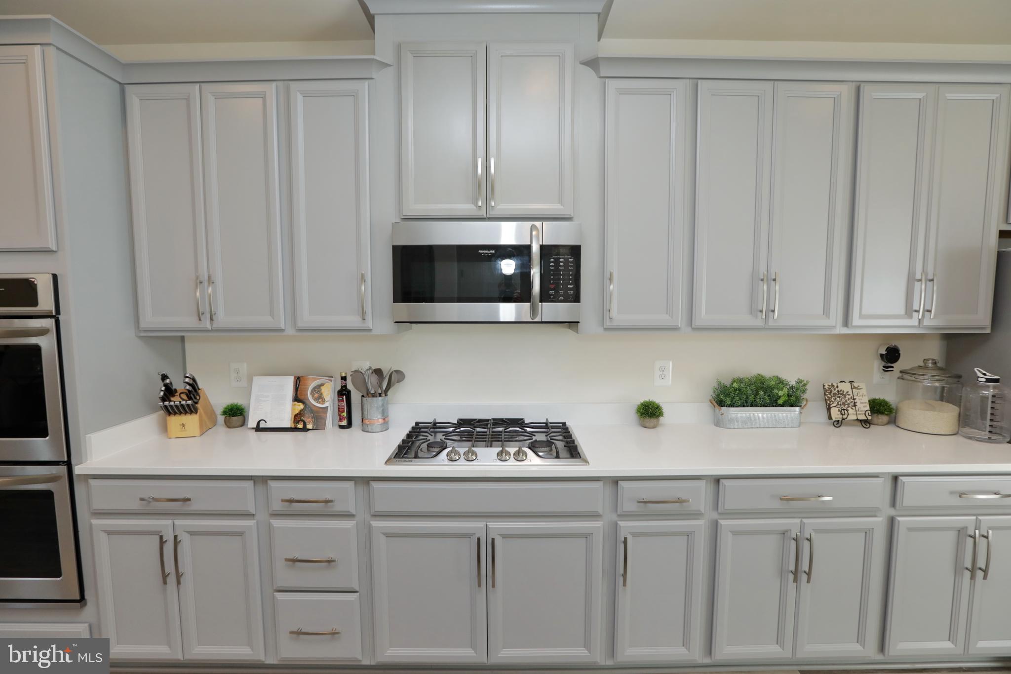 HAMILTON PARK - Residential