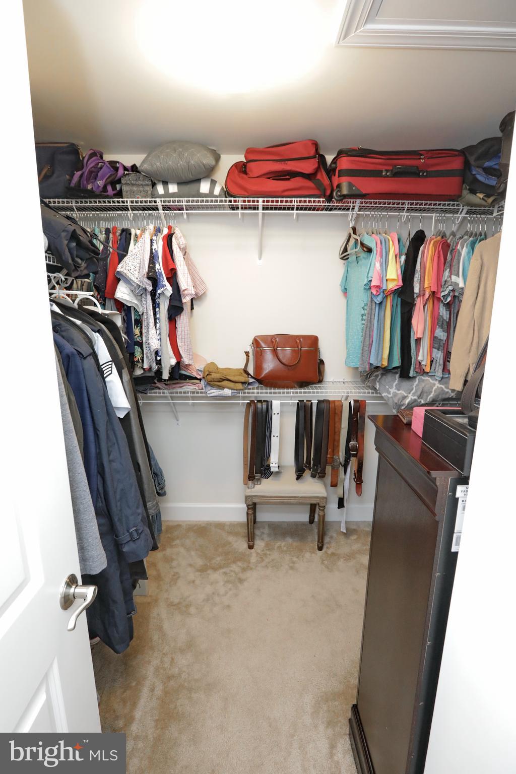 HAMILTON PARK - Residential