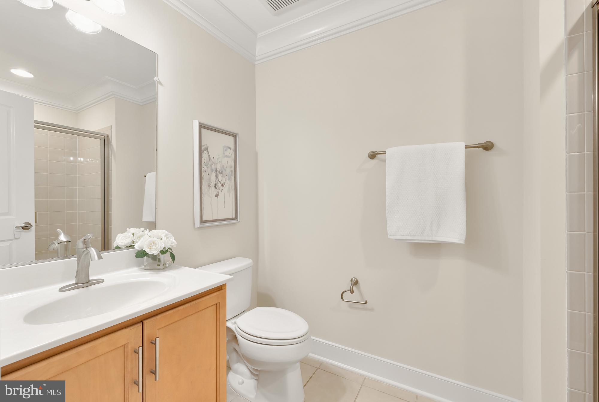 POTOMAC  YARDS - Residential