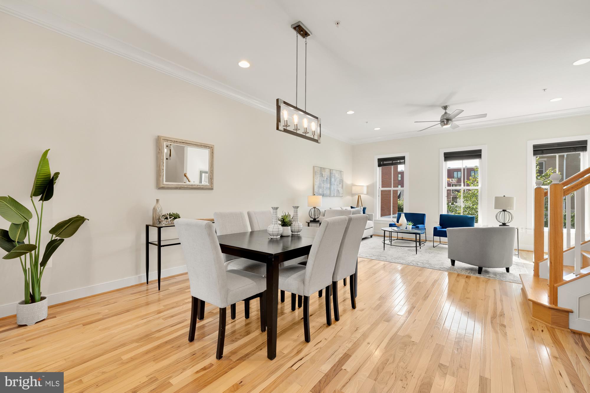 POTOMAC  YARDS - Residential