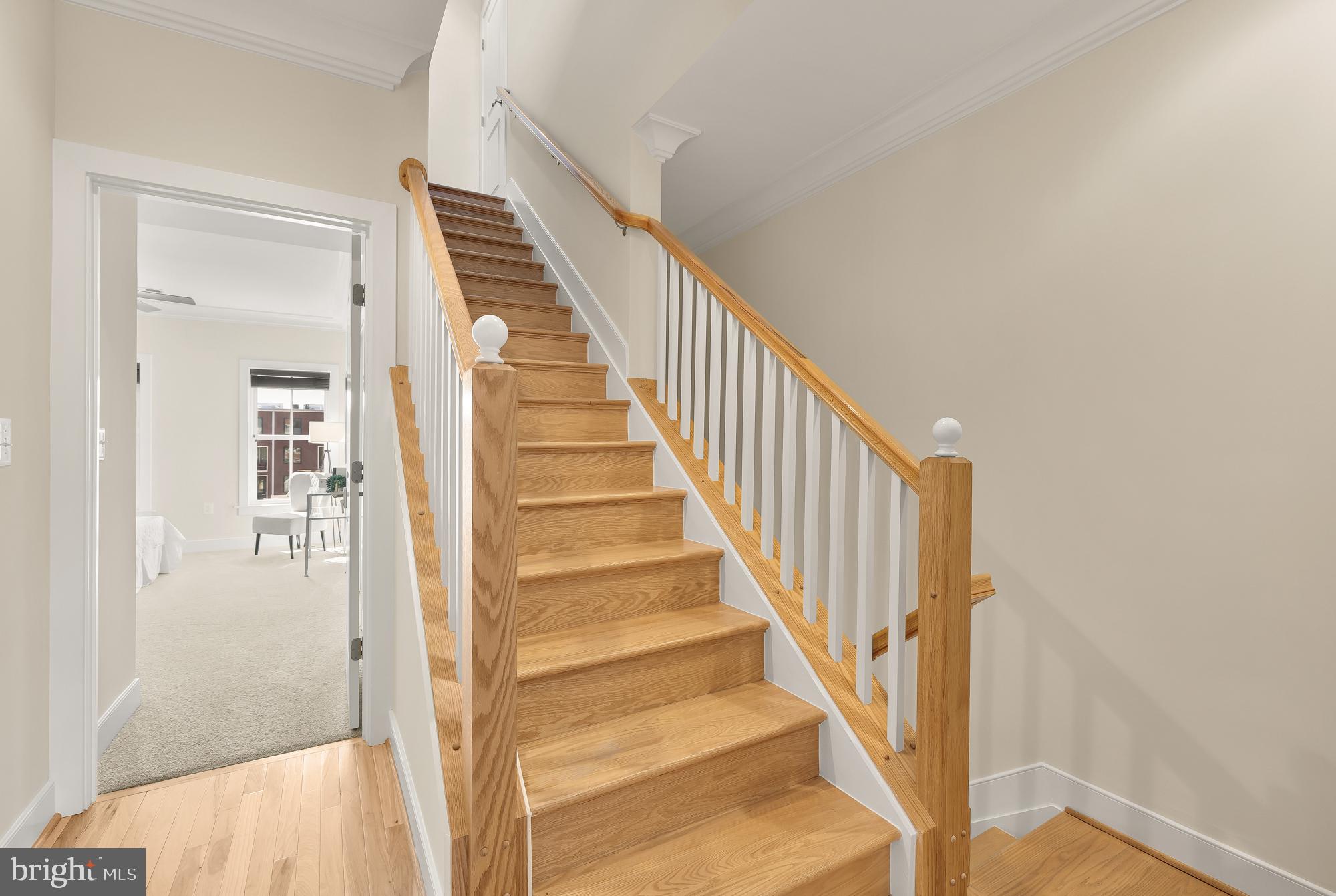 POTOMAC  YARDS - Residential