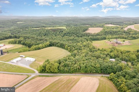 0 DRESSLER RIDGE MOUNT PLEASANT MILLS PA 17853