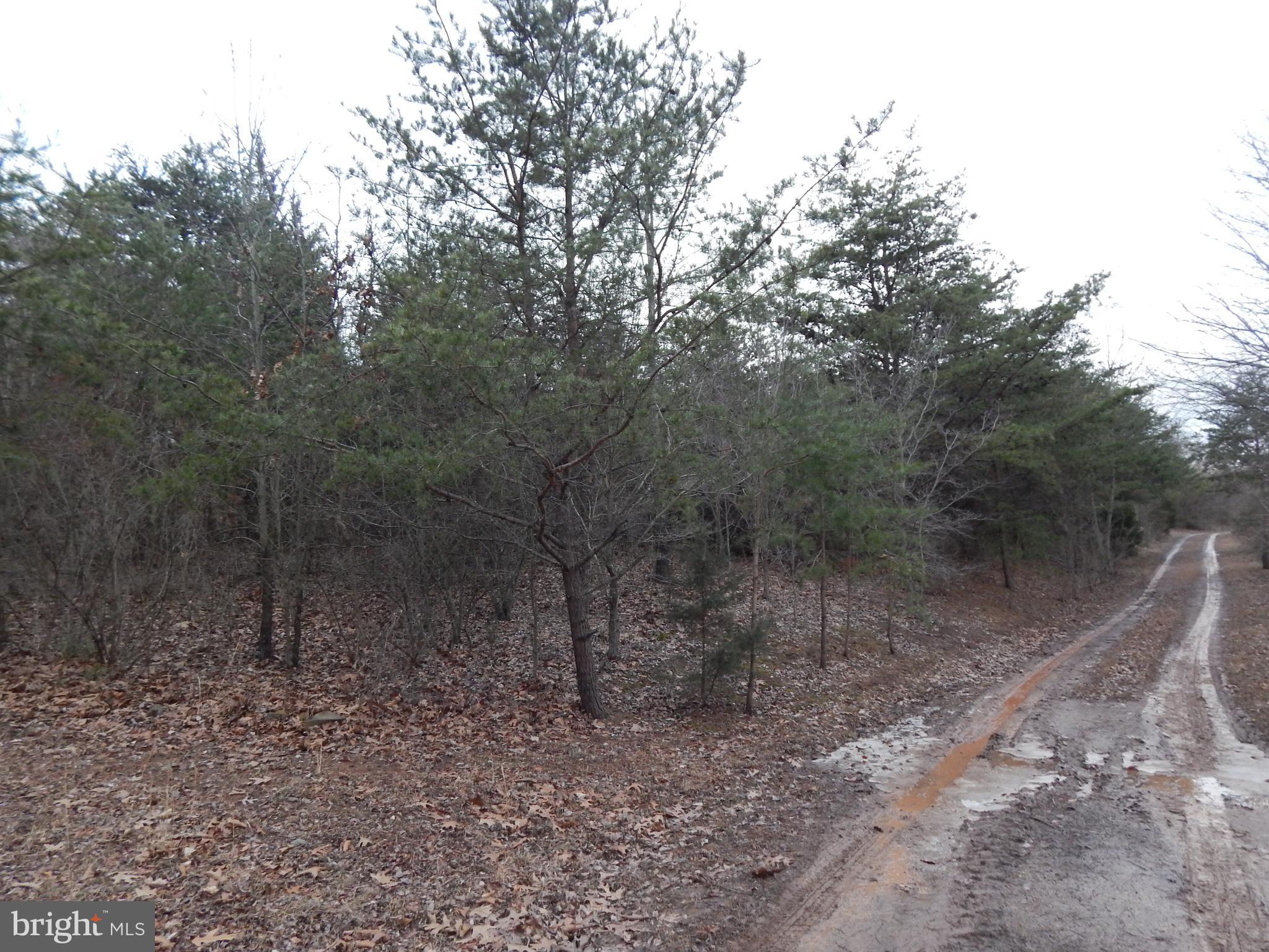 RUPPENTHAL FARM - Land