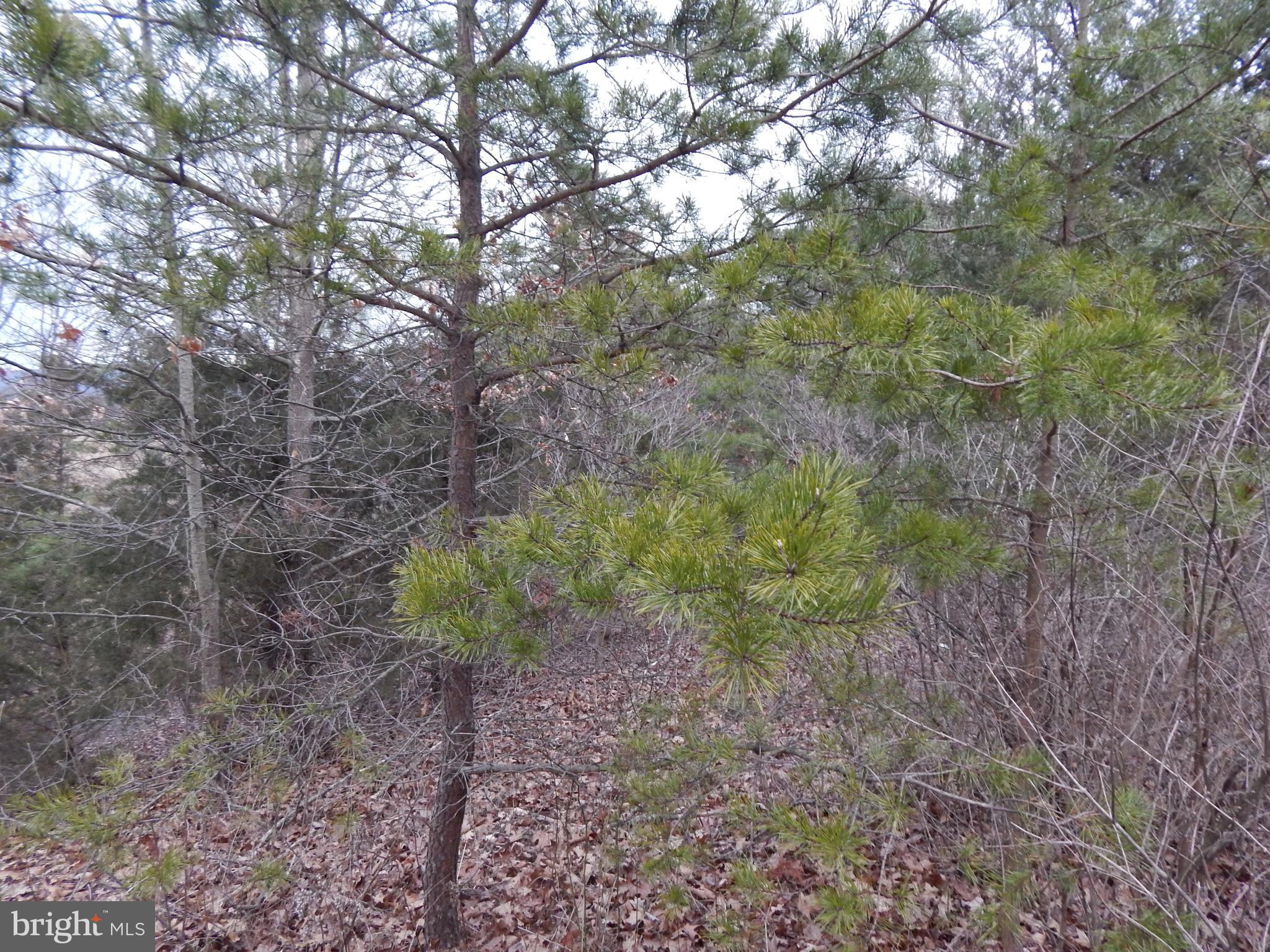 RUPPENTHAL FARM - Land