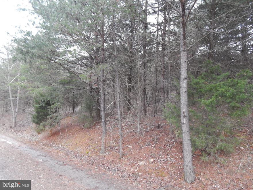 Wooded lot with 3.26 wooded acres,  located 7 miles southeast of Berkeley Springs, off Highland Ridge Road. Land is level to sloping uphill,  Only 6 restrictions are no subdividing, no mobiles, 600+ sq ft, road maintenance, lot not to be used as a ROW to other property outside of s/d, utility ROW along s/d road.