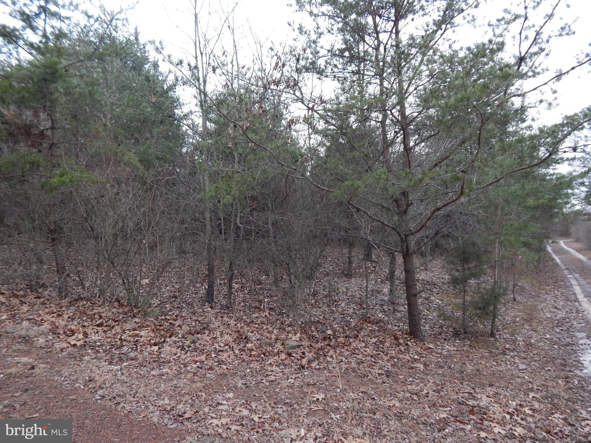 RUPPENTHAL FARM - Land