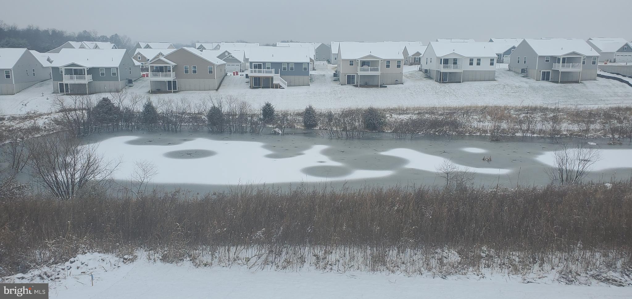 ARCADIA NORTH - Residential Lease