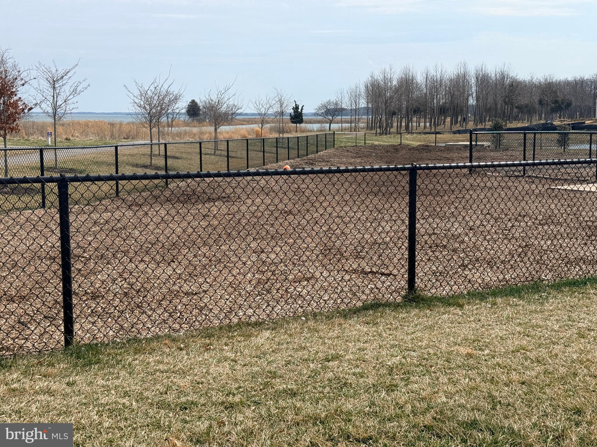 FOUR SEASONS AT KENT ISLAND - Residential