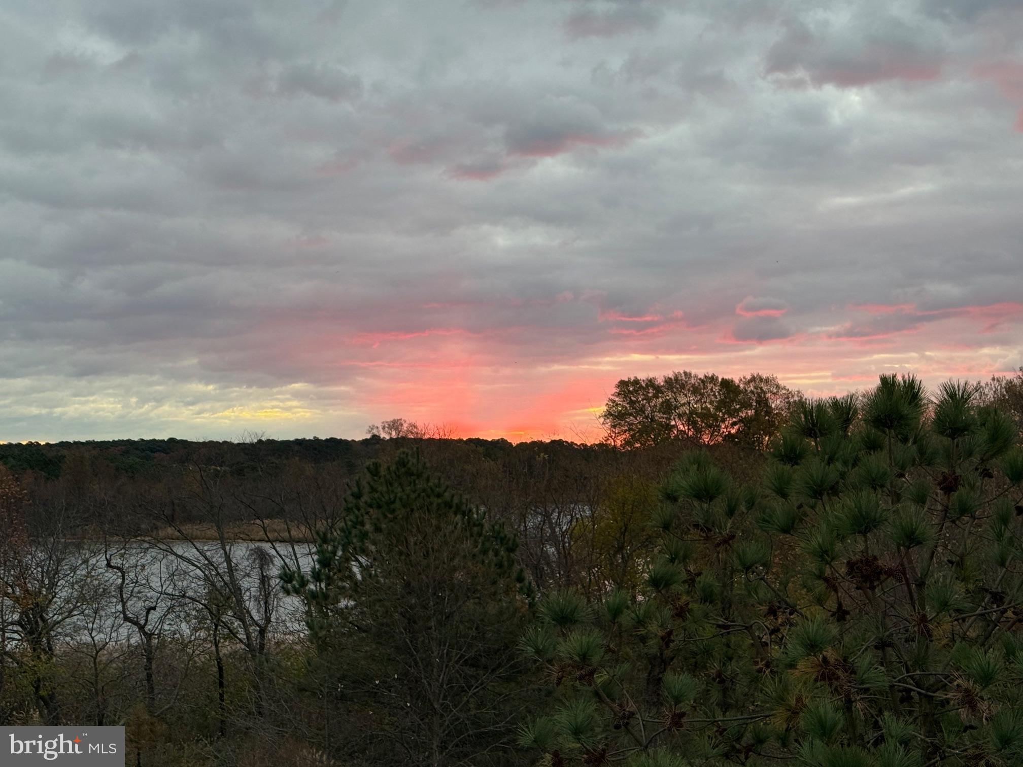 FOUR SEASONS AT KENT ISLAND - Residential