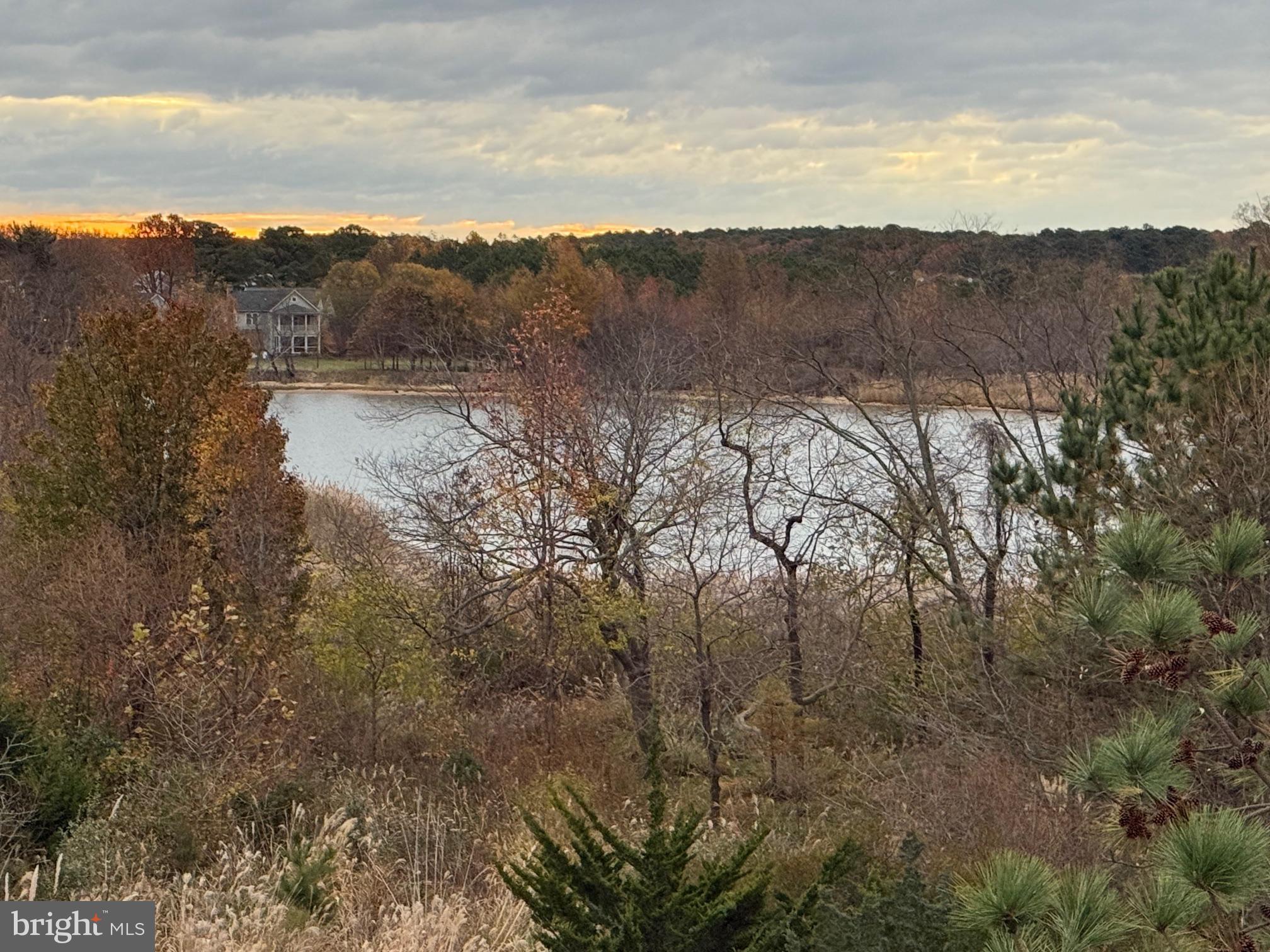 FOUR SEASONS AT KENT ISLAND - Residential