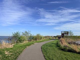 FOUR SEASONS AT KENT ISLAND - Residential