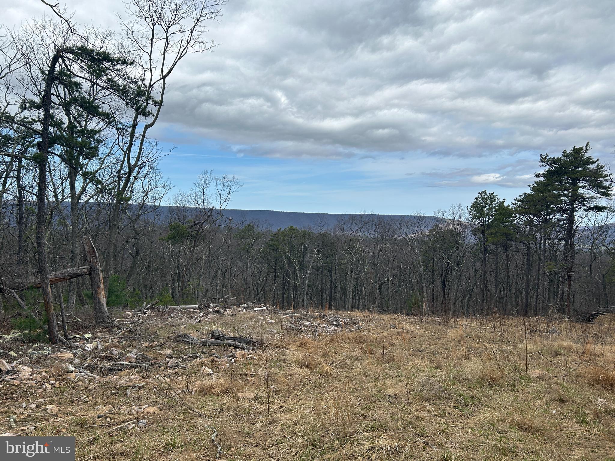 121 SCOTCH PINE LANE