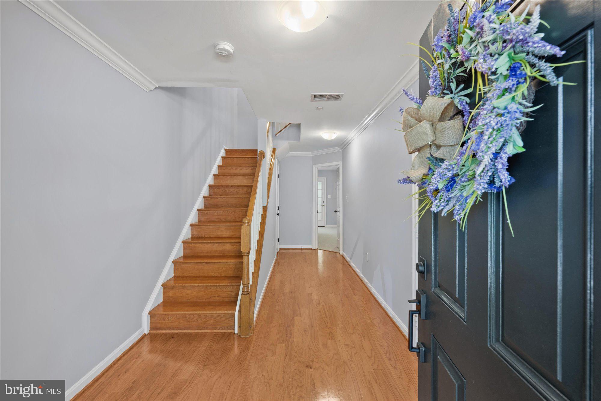 411 ASHFORD LANE
