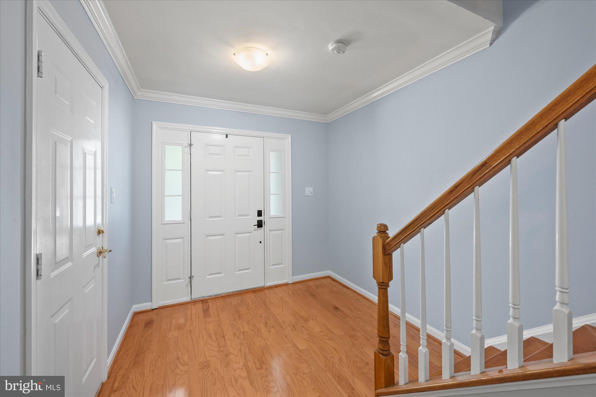 411 ASHFORD LANE