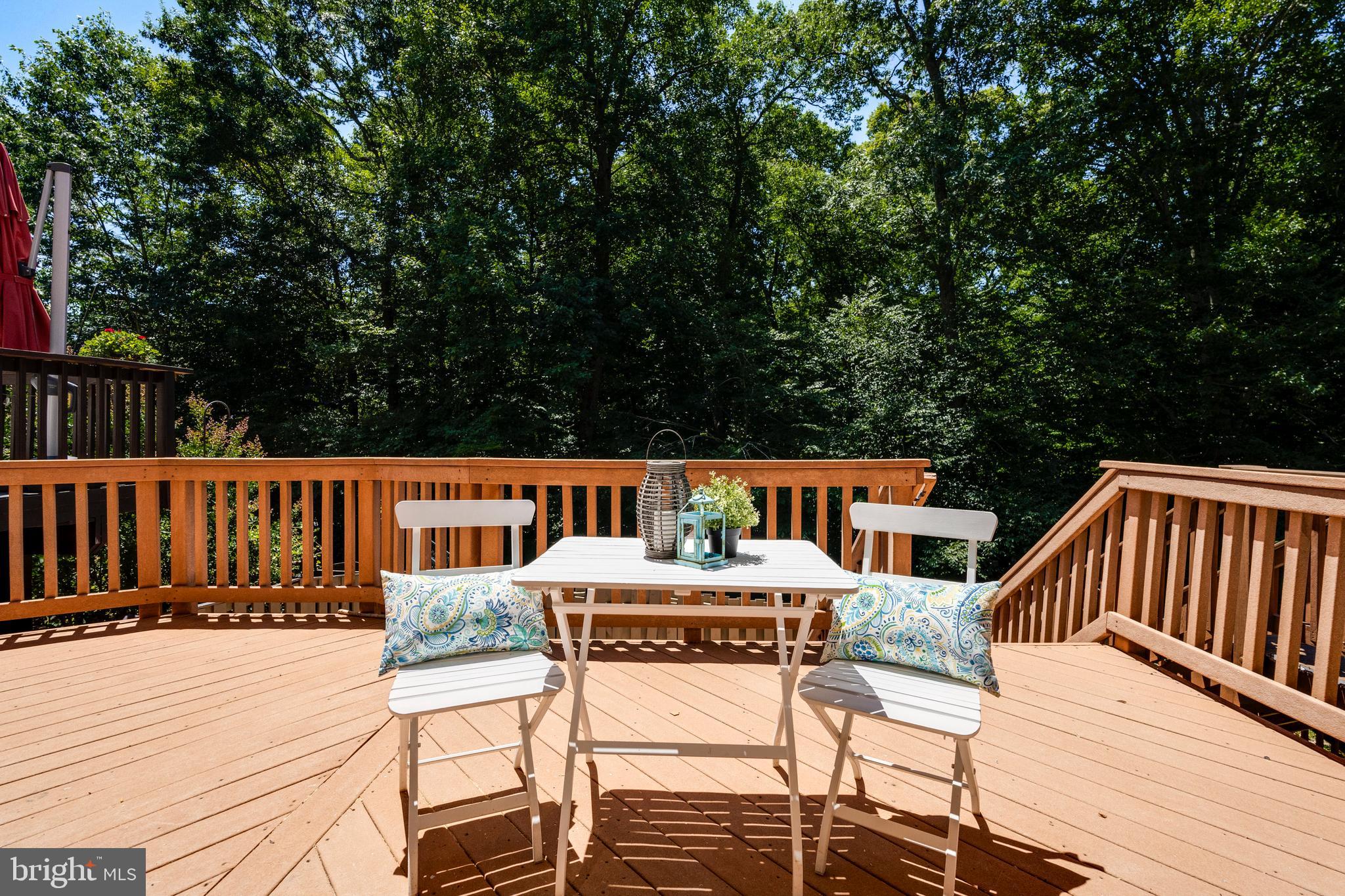 SOMERSET AT SOUTH RUN - Residential