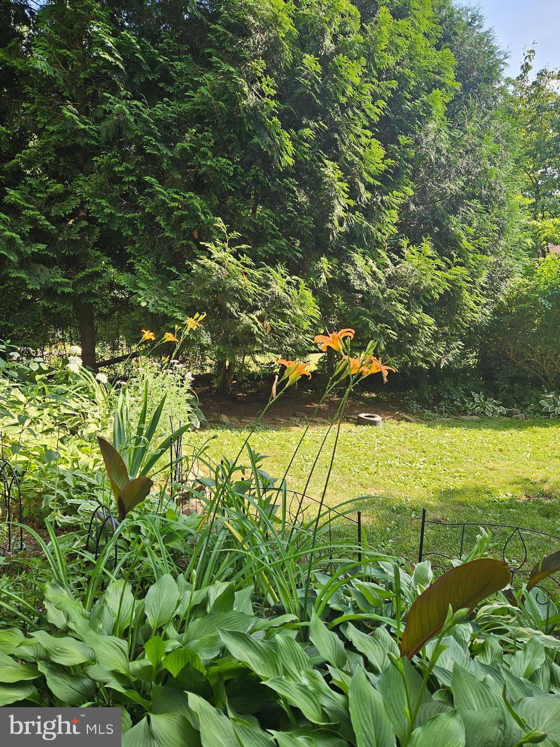 APPLEBACHSVILLE - Residential