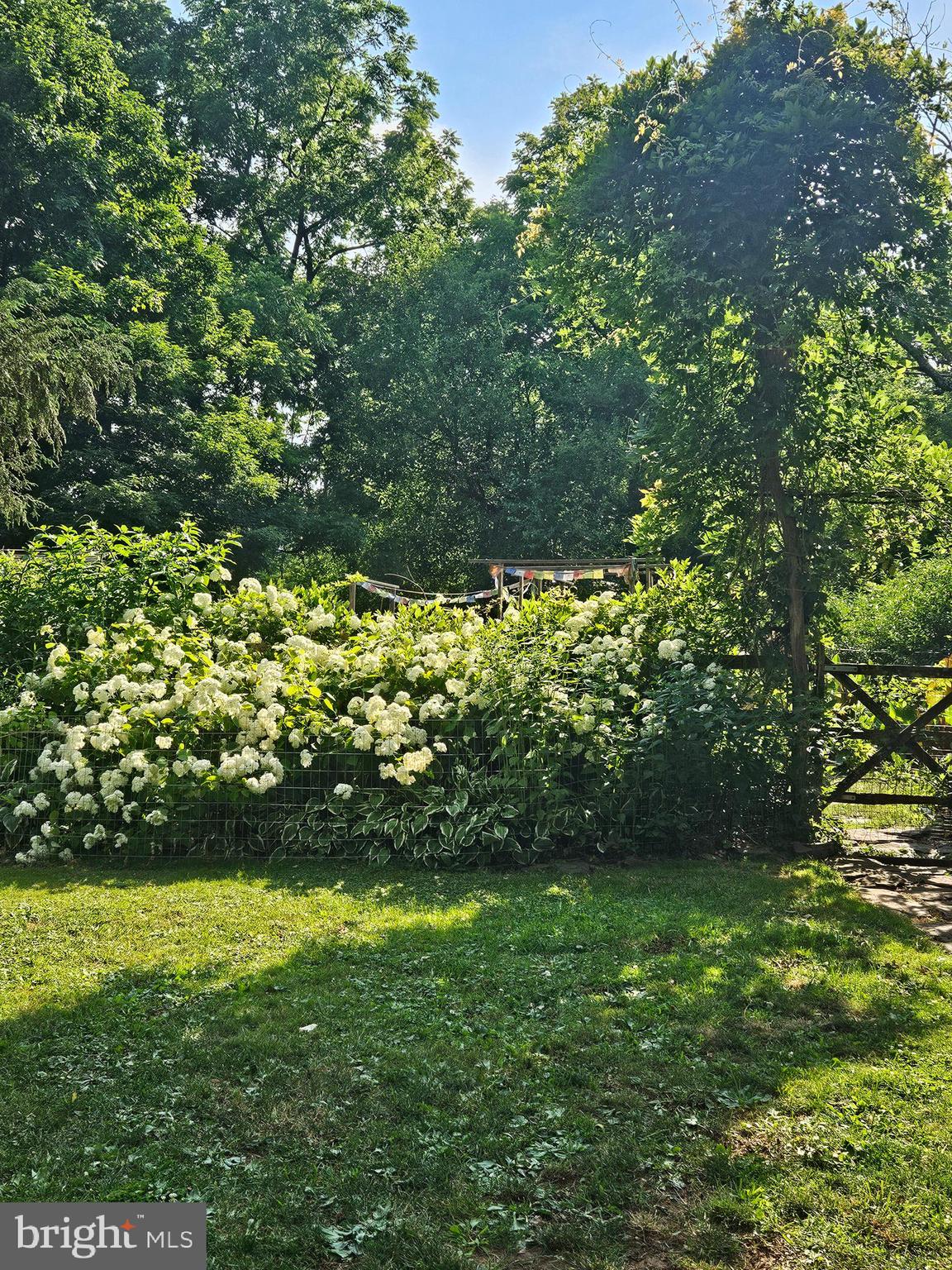 APPLEBACHSVILLE - Residential