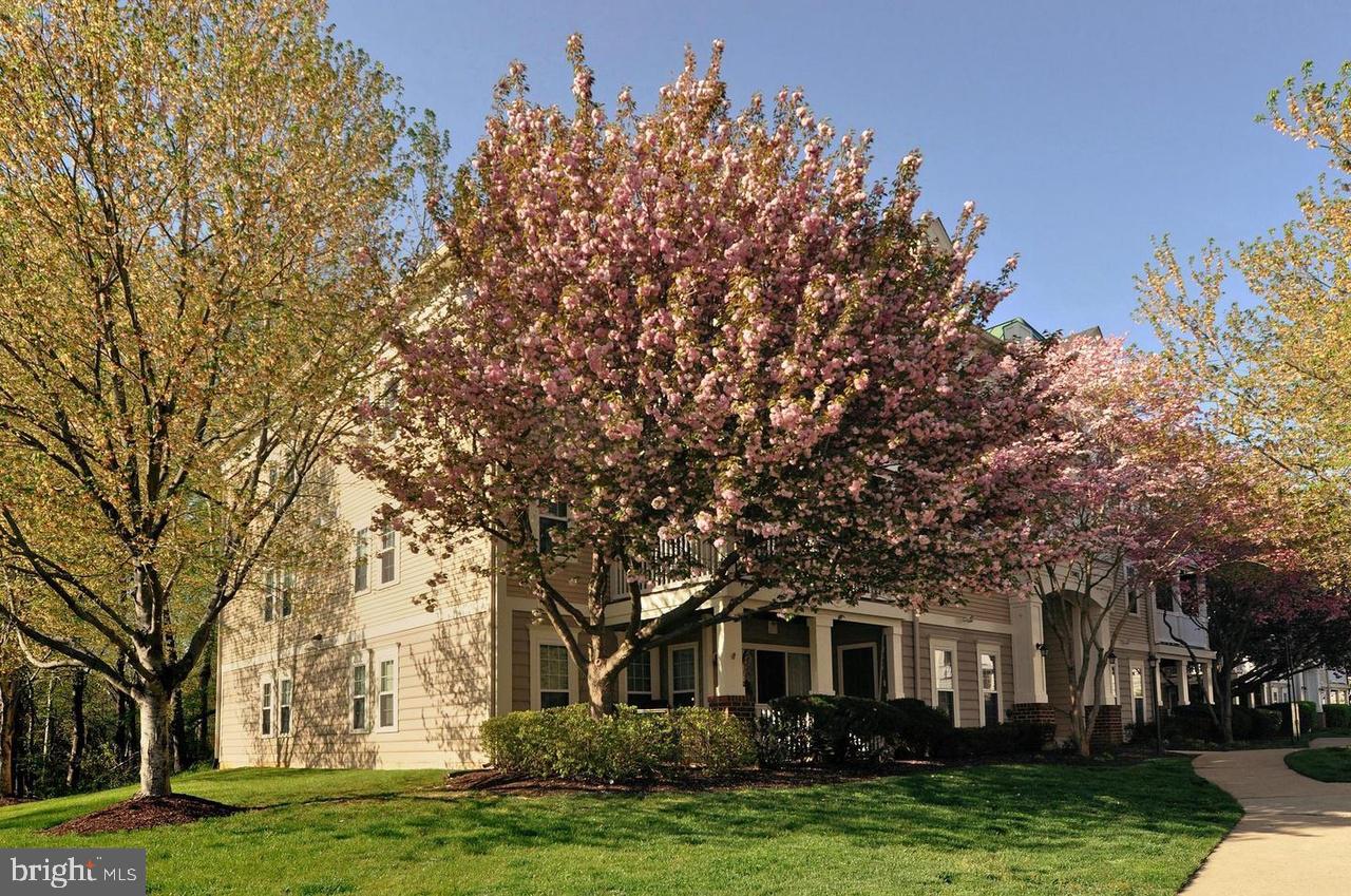 RIVERSTONE CODM - Residential