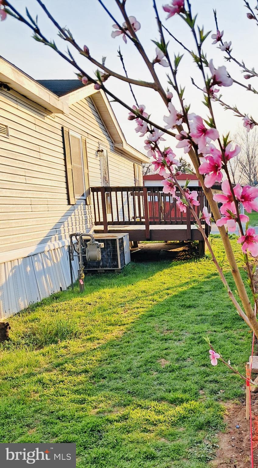 7407 PEPPERTREE LANE